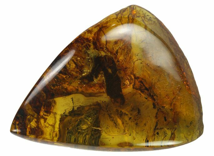 Polished Chiapas Amber ( g) - Mexico #114840